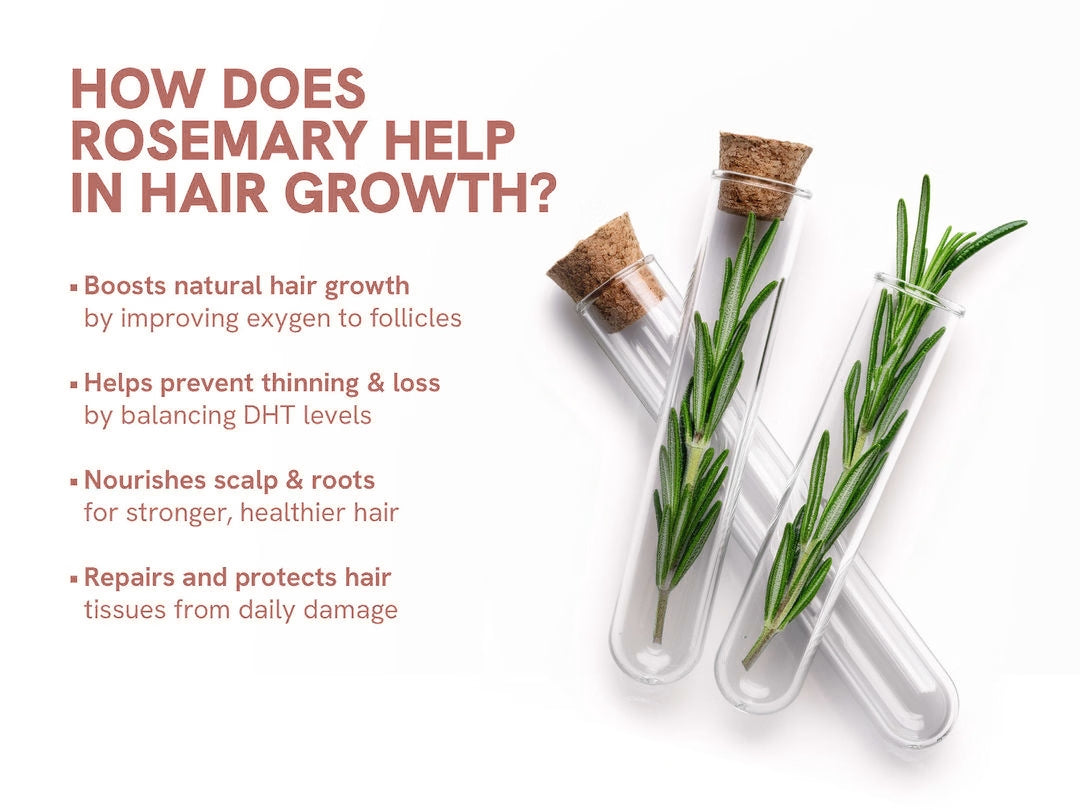 LunaLane™ Follicle Path Roller